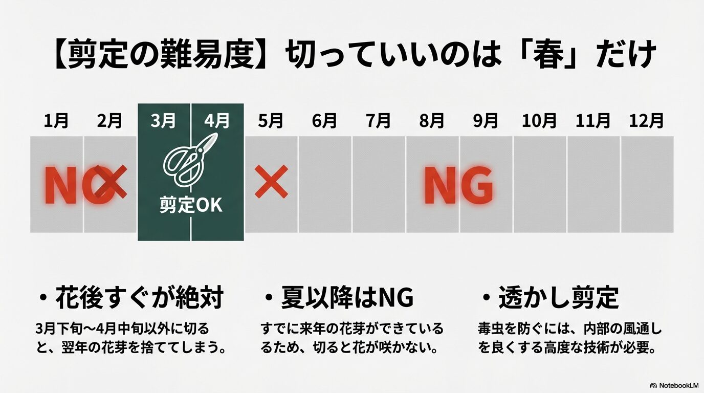 椿の剪定が可能な時期は3月下旬から4月中旬の春のみであることを示す年間スケジュール表