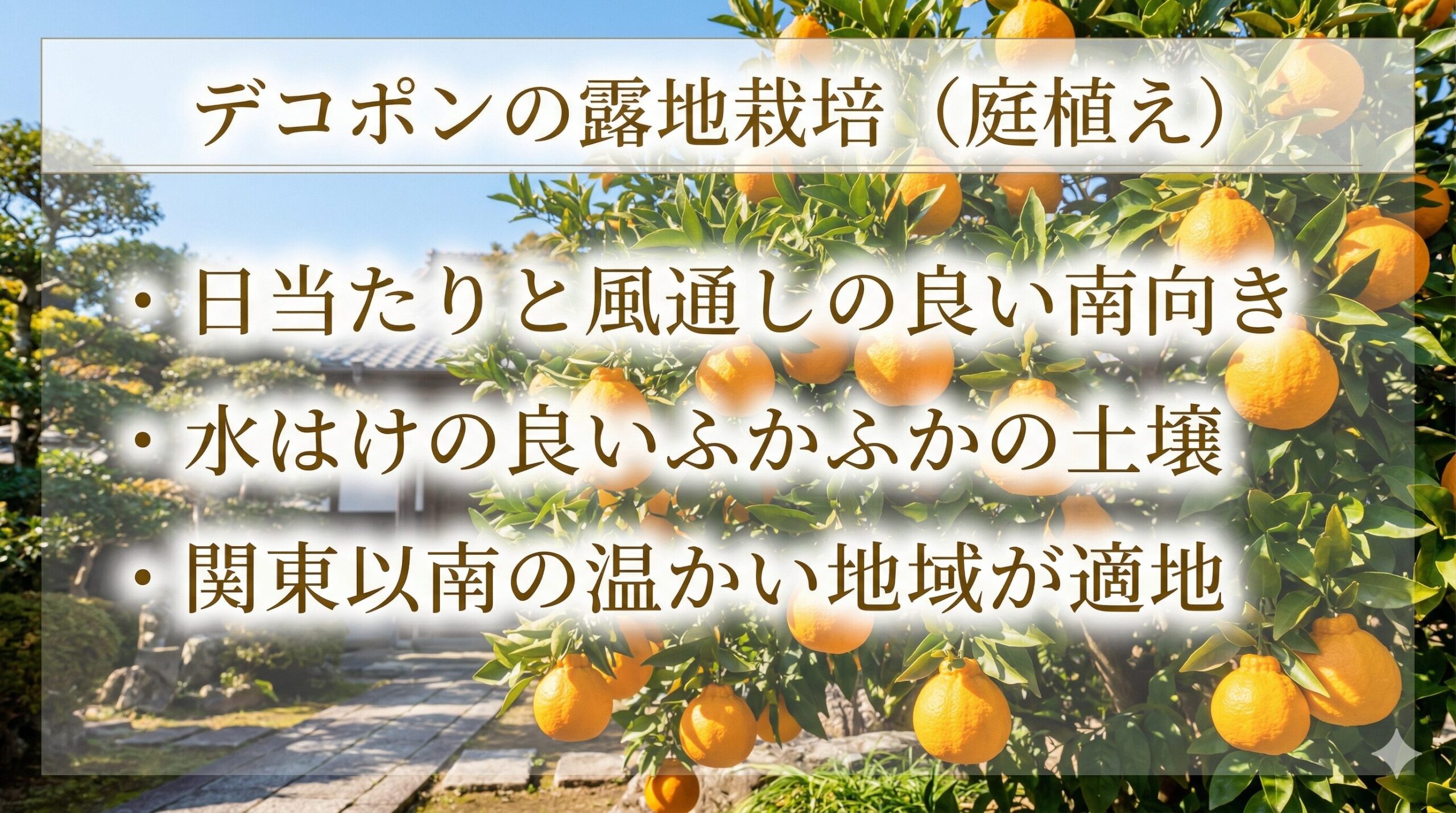 日当たりの良い庭先で、たわわに実ったデコポンの木の写真。手前にはスライドのテキストが表示されている。「デコポンの露地栽培(庭植え)」というタイトルの下に、「・日当たりと風通しの良い南向き」、「・水はけの良いふかふかの土壌」、「・関東以南の温かい地域が適地」という3つのポイントが簡潔にまとめられている。