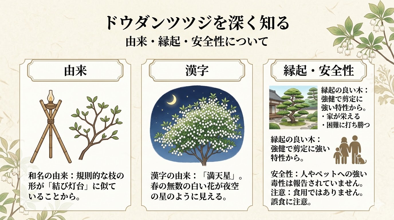 ドウダンツツジの由来・縁起・安全性について深く知るスライド画像