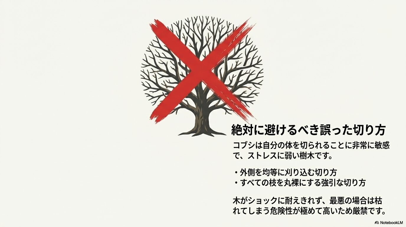 コブシが枯れる危険性が高い絶対に避けるべきすべての枝を丸裸にする強引な切り方