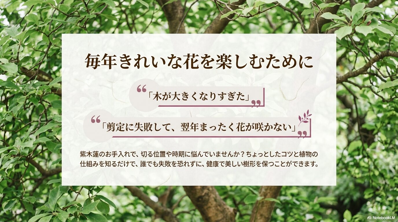 木蓮が大きくなりすぎたり花が咲かなかったりする悩みを解決して毎年きれいな花を楽しむための導入スライド