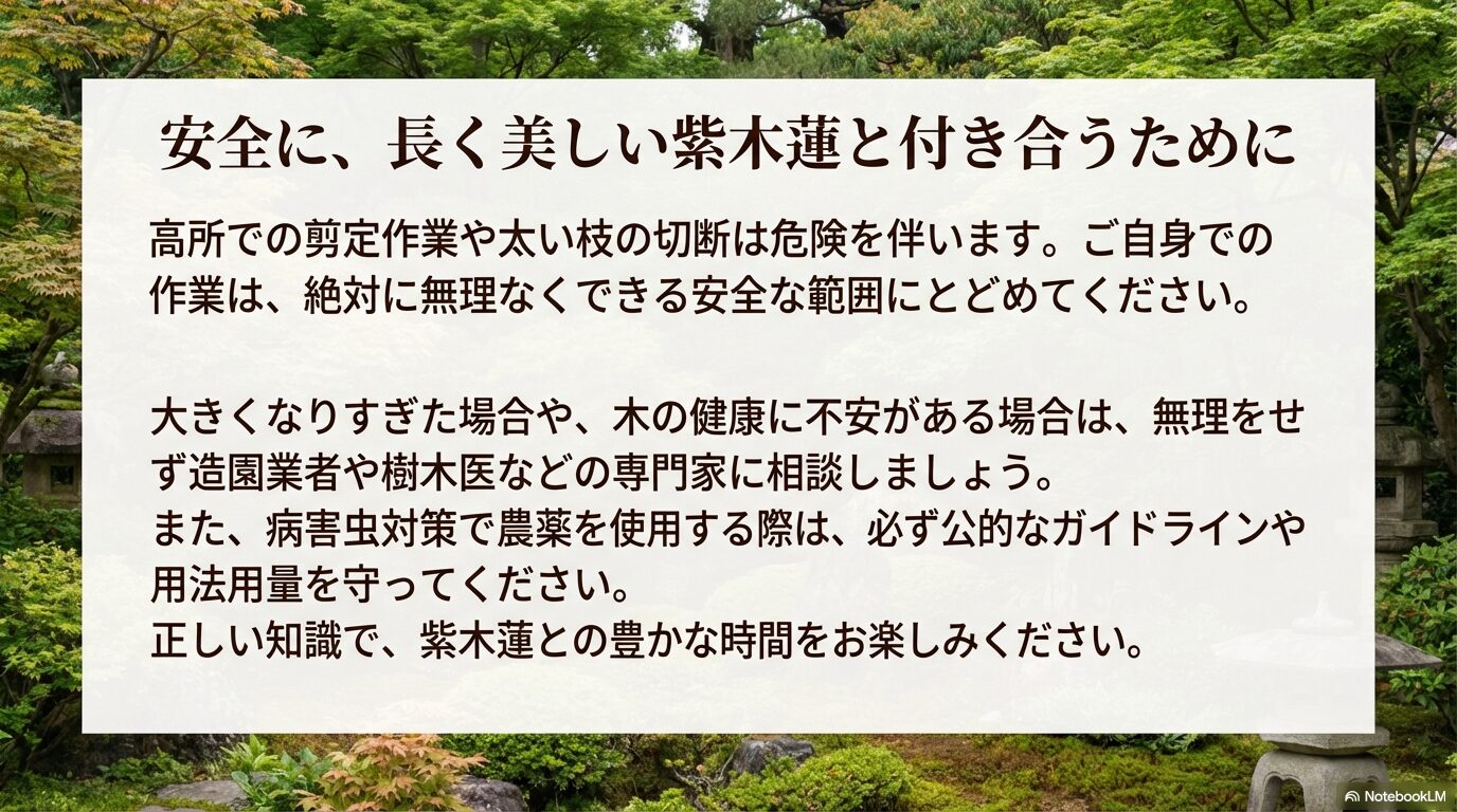 無理な高所作業を避け、安全にシモクレンと付き合うための注意点と専門家への相談を促すスライド