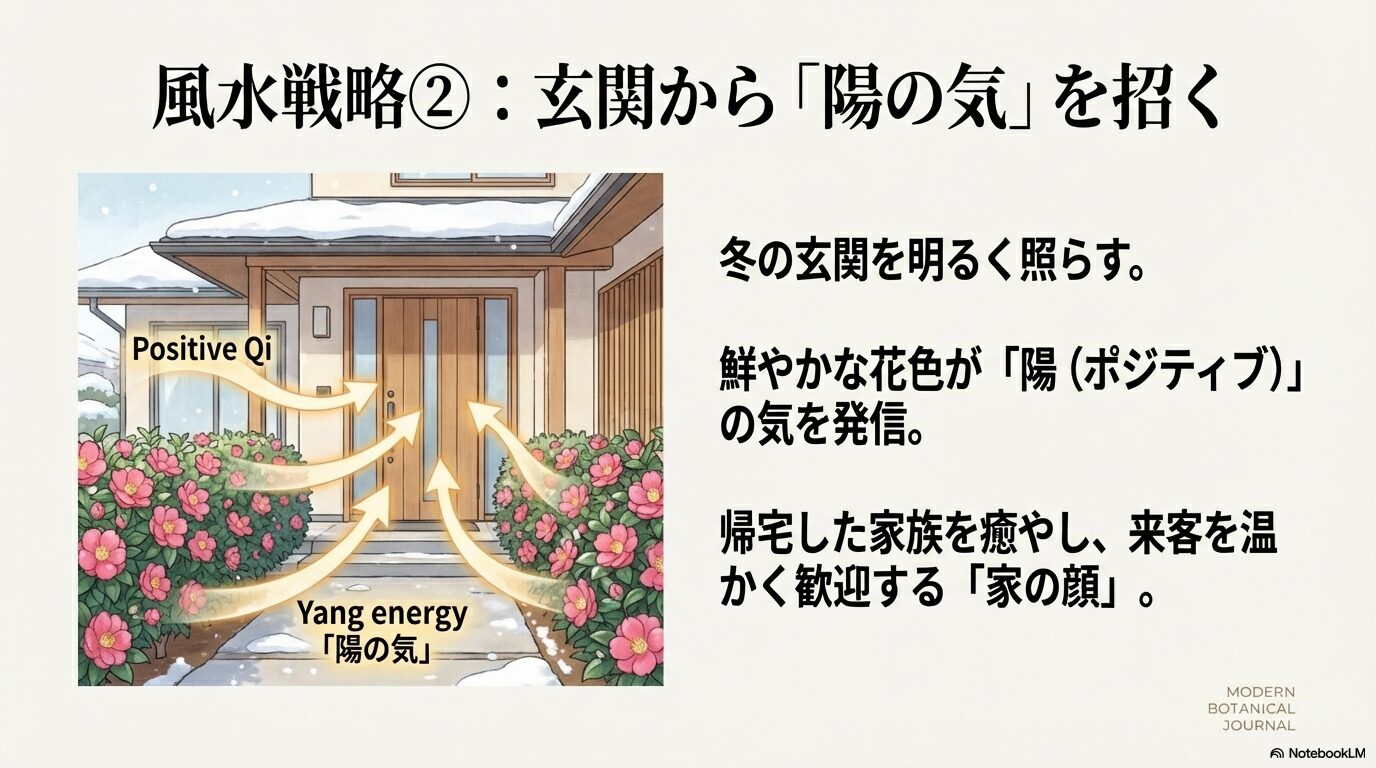 山茶花を玄関周りに植えることで陽の気を招き、来客を歓迎する風水戦略の画像