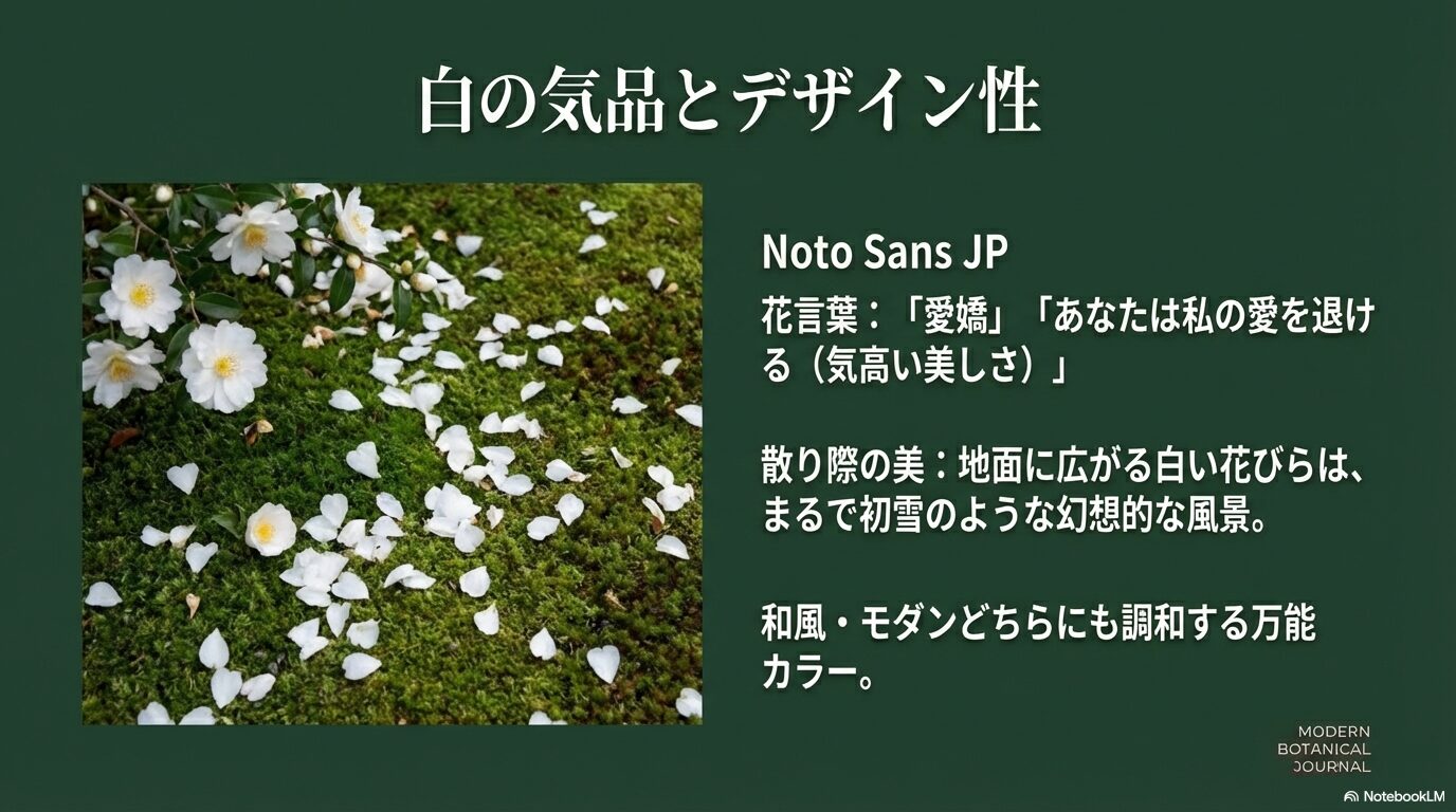 白い山茶花(サザンカ)の花言葉「愛嬌」や、散り際の幻想的な美しさを解説した画像