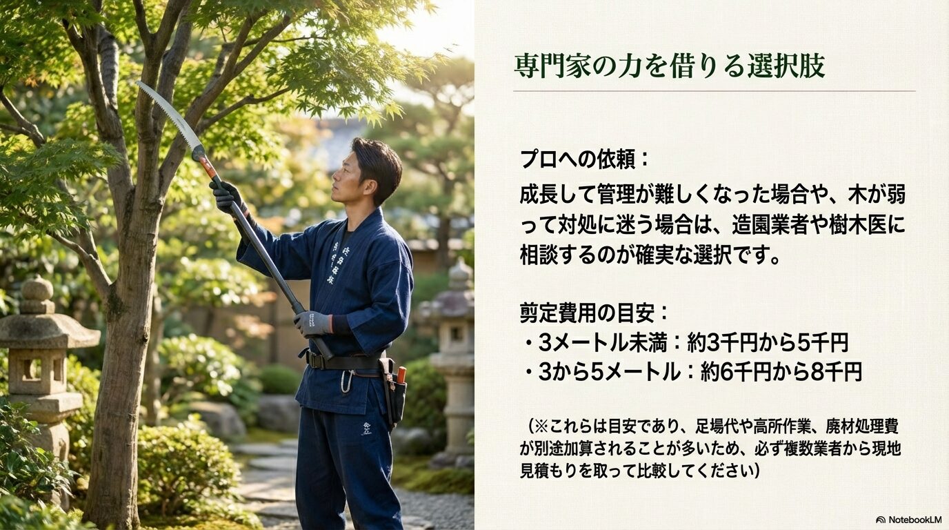 成長したシャラの木の管理や剪定は造園業者や樹木医へ依頼する