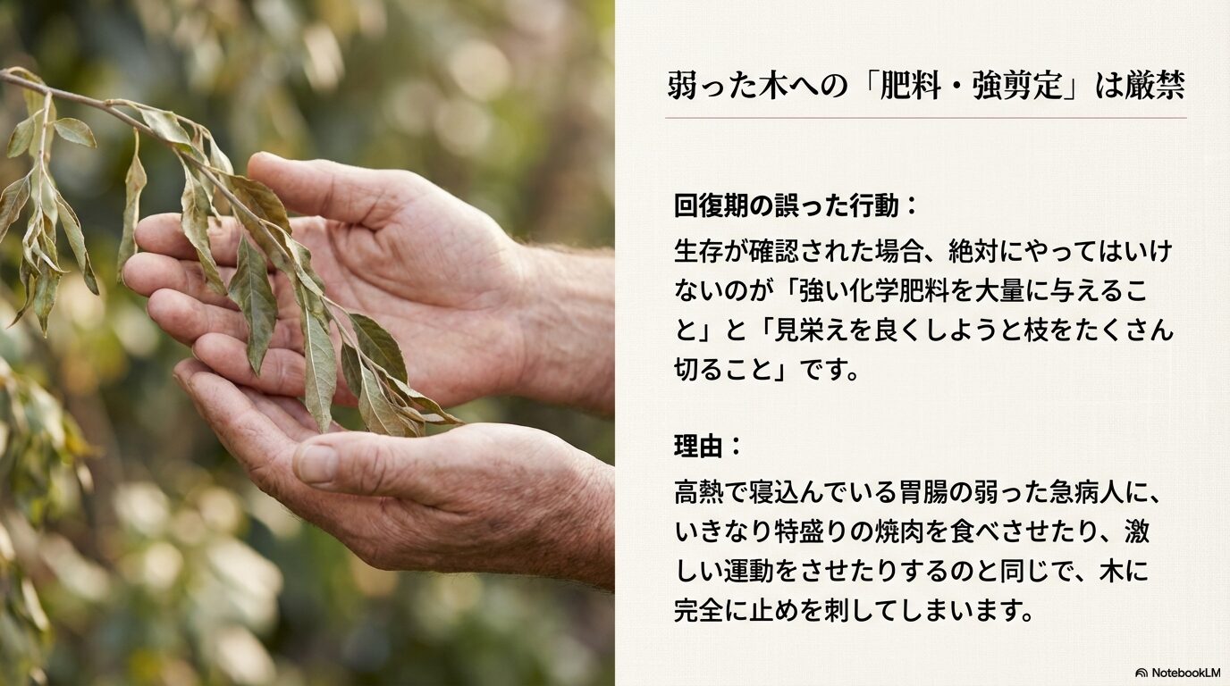 弱った木への肥料や強剪定は厳禁