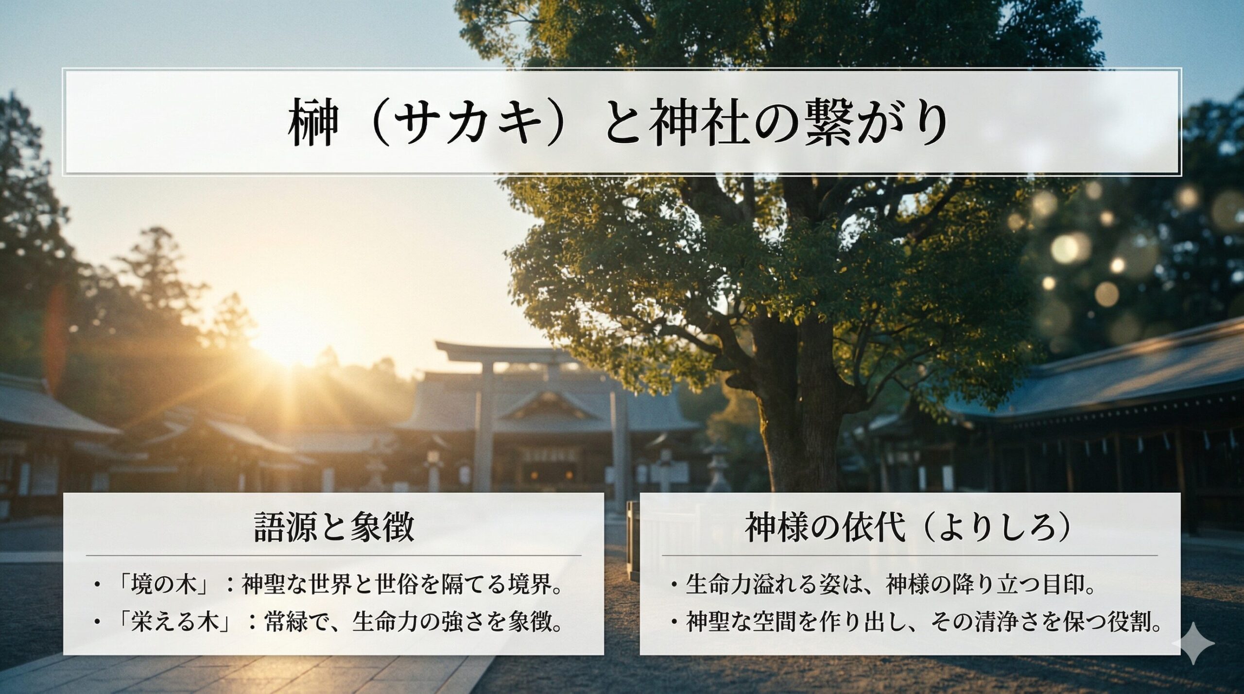神社を背景にした、榊（サカキ）の由来と役割についての解説スライド。朝日の中で佇む大きな御神木を背景に、榊の語源である「境の木」「栄える木」についての意味と、神様が降り立つ「依代（よりしろ）」としての役割が日本語で簡潔にまとめられています。全体的に落ち着いた気品のあるデザインです。