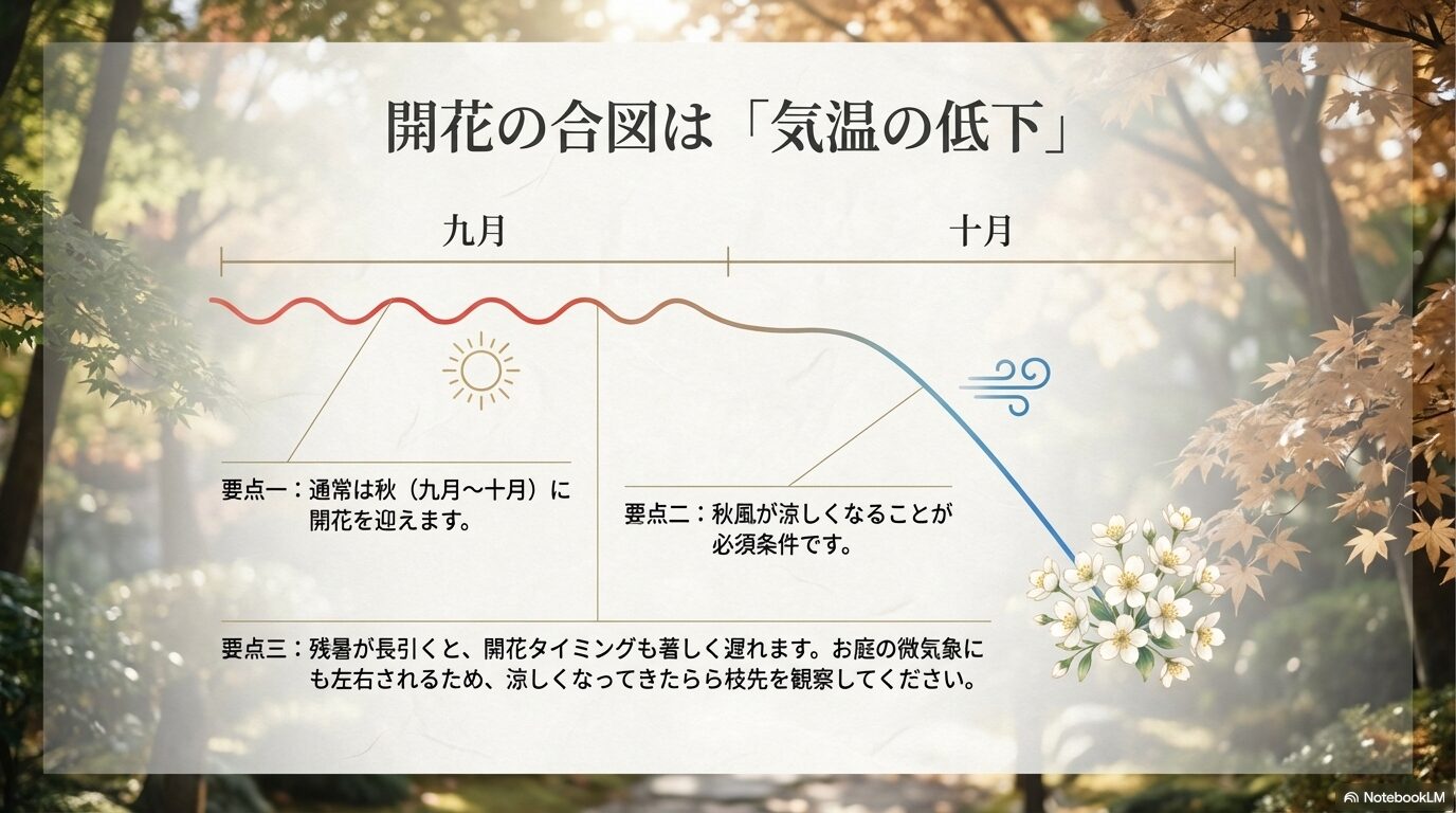 銀木犀の開花の合図となる9月と10月の気温低下