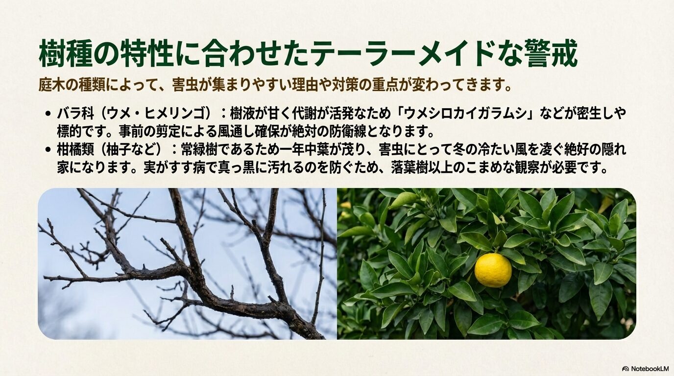 冬の落葉樹の枝と常緑樹である柚子の実