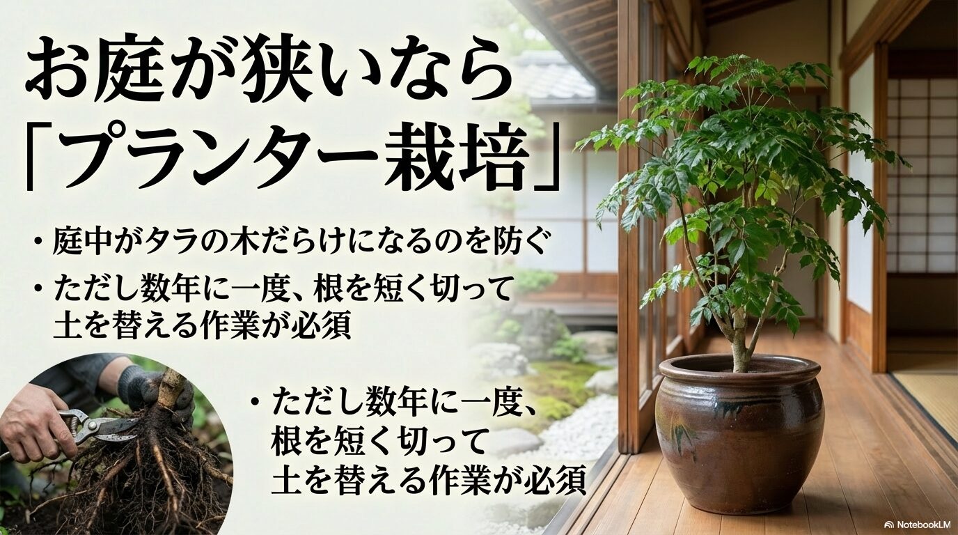 スペースが狭い庭に向いているタラの木のプランター栽培