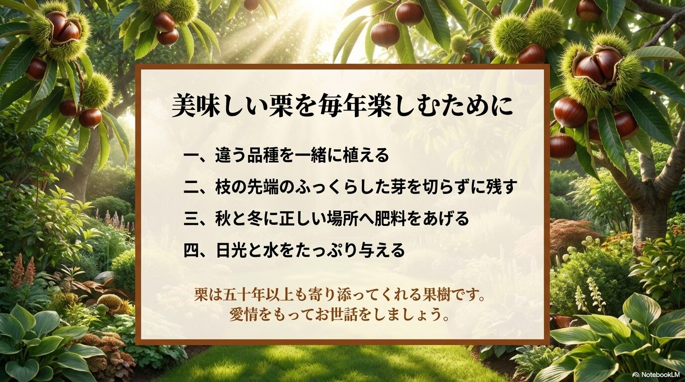 違う品種を植える、枝の先端を切らない、正しい肥料、水やりと日照など、美味しい栗を楽しむための4つの鉄則をまとめたスライド