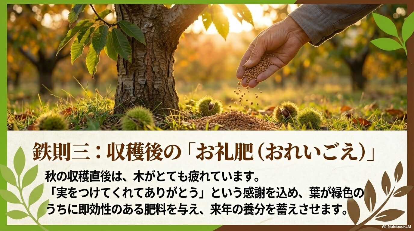 秋の収穫直後に、木への感謝を込めて即効性のある肥料(お礼肥)を与え来年の養分を蓄えさせることを示すスライド