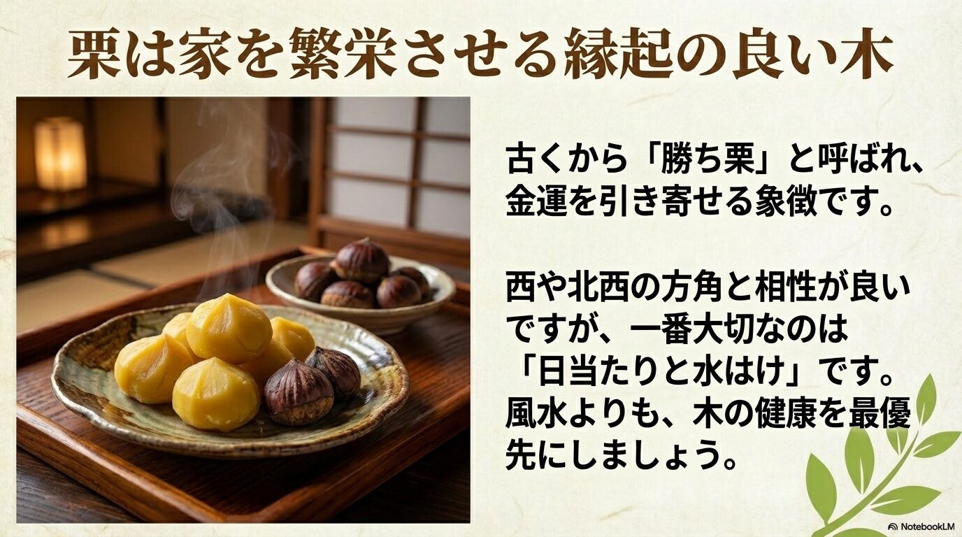 栗は勝ち栗と呼ばれ金運を引き寄せる縁起の良い木であり、風水よりも日当たりと水はけの良さが重要であることを解説するスライド