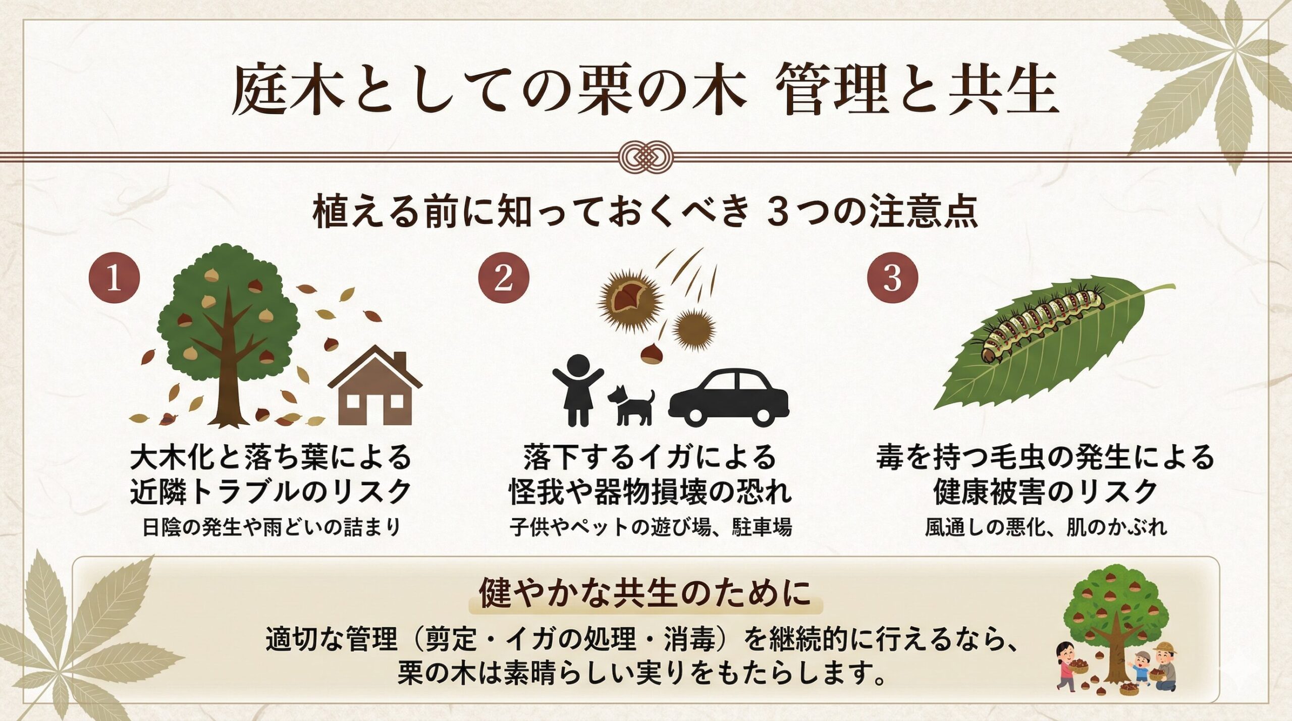 庭木としての栗の木との共生についてまとめたスライド画像。上部にタイトル「庭木としての栗の木 管理と共生」。中央に「植える前に知っておくべき 3つの注意点」として、1.大木化と落ち葉による近隣トラブルのリスク(日陰や雨どいの詰まり)、2.落下するイガによる怪我や器物損壊の恐れ(子供・ペット・車)、3.毒を持つ毛虫の発生による健康被害のリスク(風通し・肌かぶれ)をイラスト付きで説明。下部に「健やかな共生のために」として、「適切な管理を継続的に行えるなら、素晴らしい実りをもたらしてくれる」という結論が書かれています。和風モダンなデザイン。