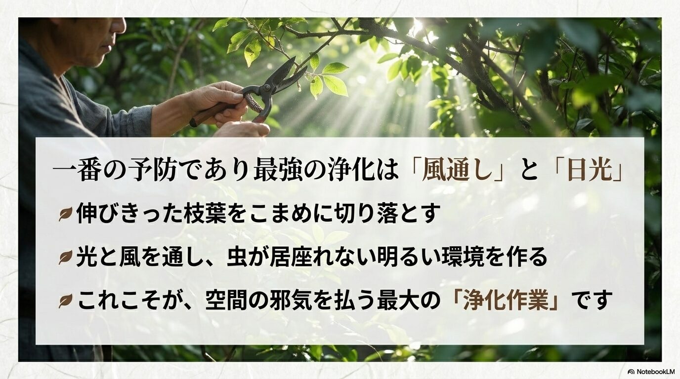 庭の風通しと日光が一番の予防であり空間の邪気を払う最強の浄化作業