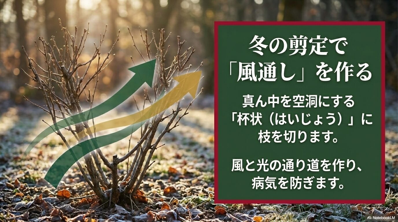 冬の剪定で真ん中を空洞にする杯状に枝を切り、風と光の通り道を作って病気を防ぐ方法のスライド