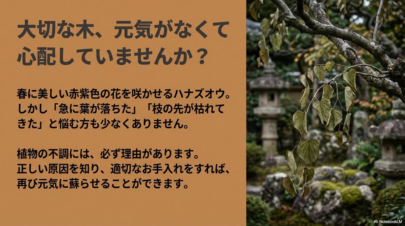 葉が茶色く枯れ落ちそうになっている元気のないハナズオウの枝の様子