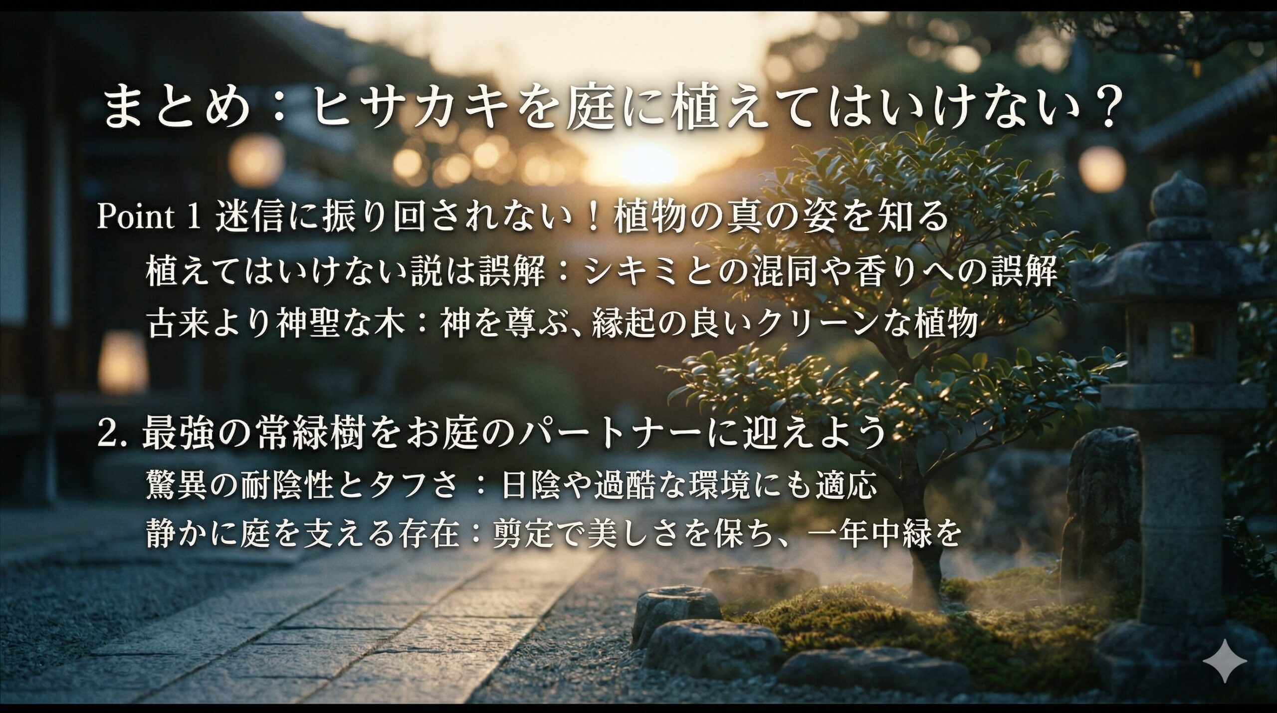 朝日が差し込む和風庭園に立つヒサカキの木。スライドには「迷信に振り回されない！植物の真の姿を知る」「最強の常緑樹をお庭のパートナーに迎えよう」といった、庭植えへの誤解を解きその魅力を伝えるテキストが表示されている。