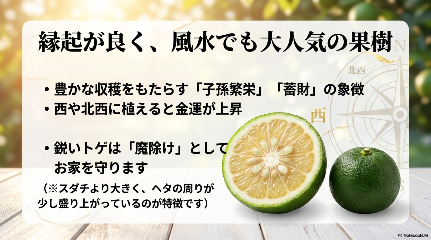蓄財や子孫繁栄の象徴であるカボスの木は、西や北西に植えると金運が上昇するという風水の説明