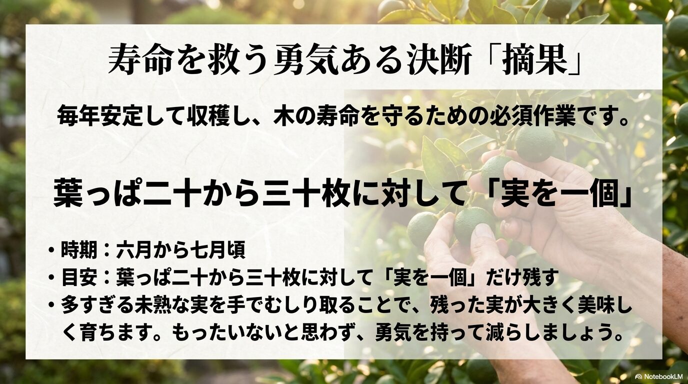 毎年安定して収穫するために、6月〜7月頃に葉っぱ20〜30枚に対して実を1個残す摘果の目安
