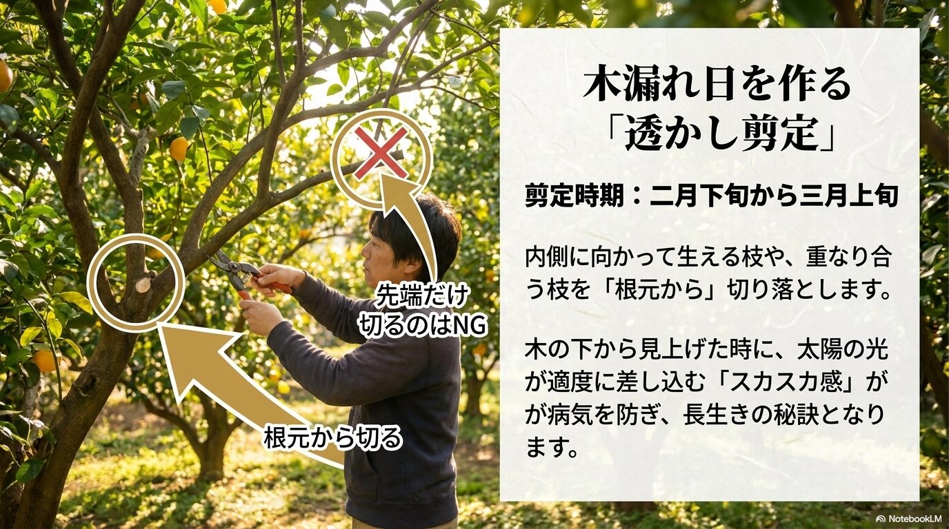 病気を防ぎ長生きさせるために、枝の先端ではなく内側に向かって生える枝を根元から切る透かし剪定の図解