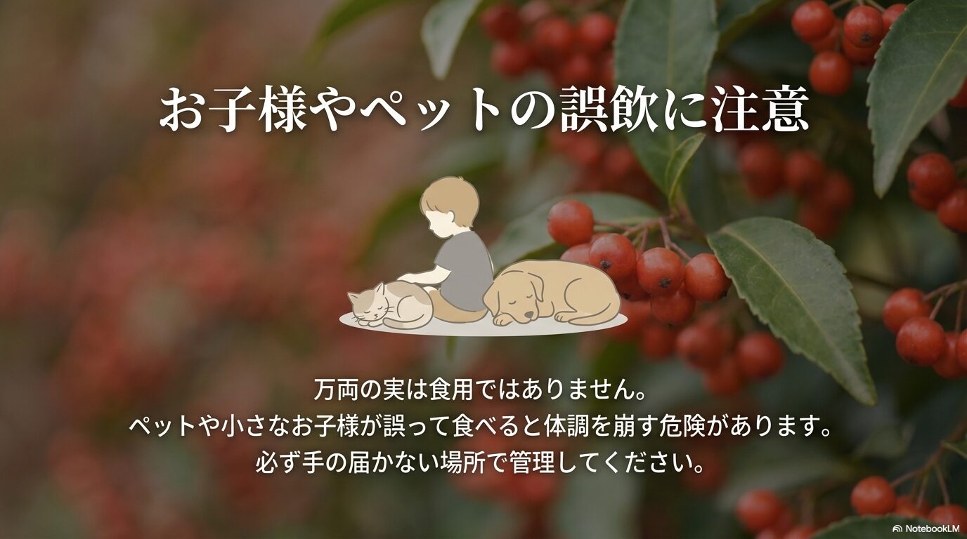 万両の実は食用ではないためお子様やペットの誤飲に注意