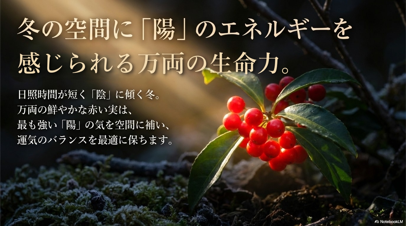 冬の空間に陽のエネルギーを補う万両の赤い実