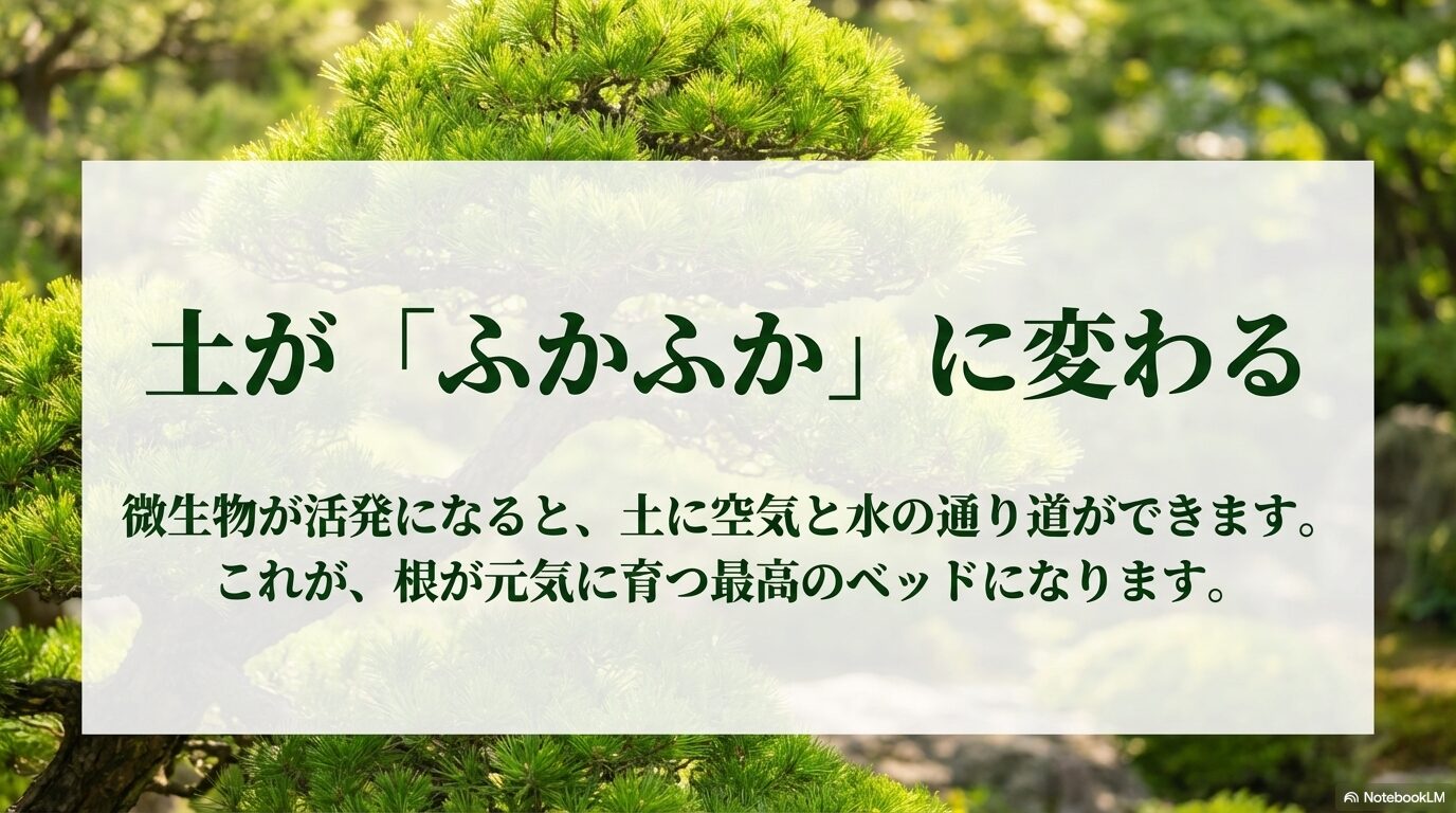 微生物が活発になると土に空気と水の通り道ができ、根が元気に育つ最高のベッドになる