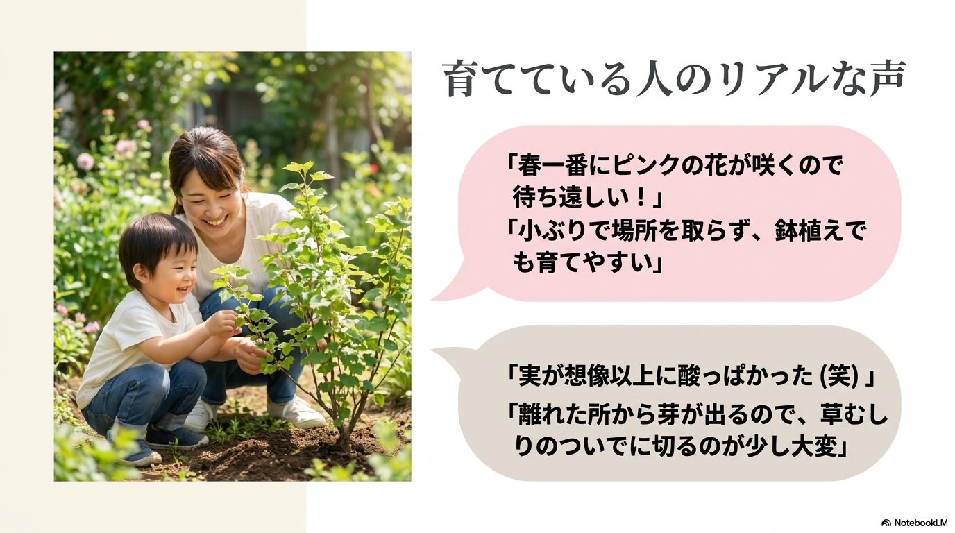 春の花への感動や育てやすさの一方で、酸っぱさや繁殖力へのリアルな感想をまとめたユーザーレビュー