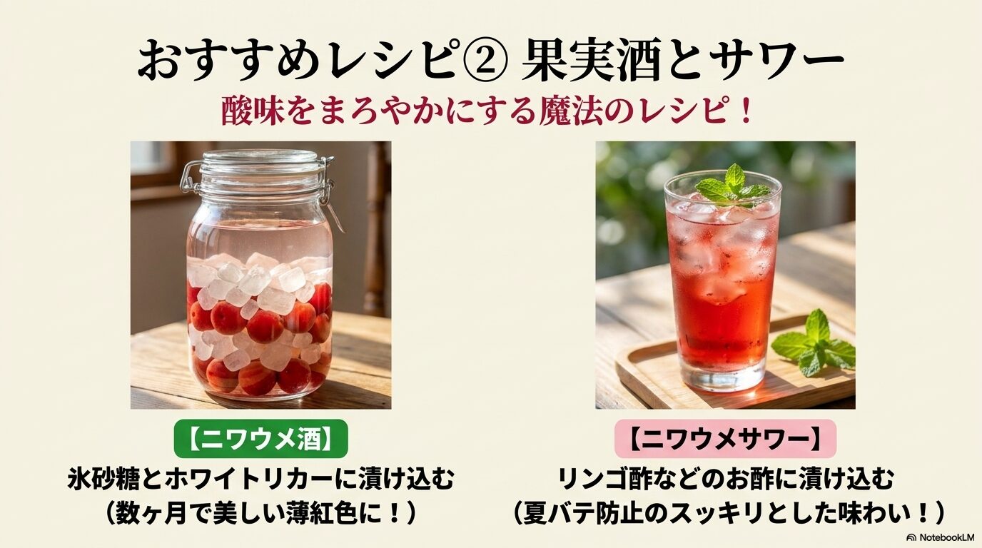 氷砂糖とリカーに漬けたニワウメ酒と、お酢を使った爽やかなサワードリンクの活用法を紹介するスライド