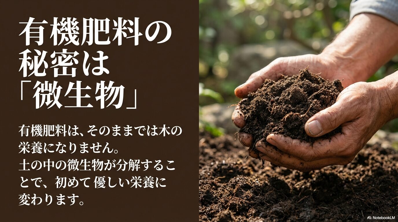 有機肥料はそのままでは木の栄養にならず、土の中の微生物が分解することで初めて優しい栄養に変わる