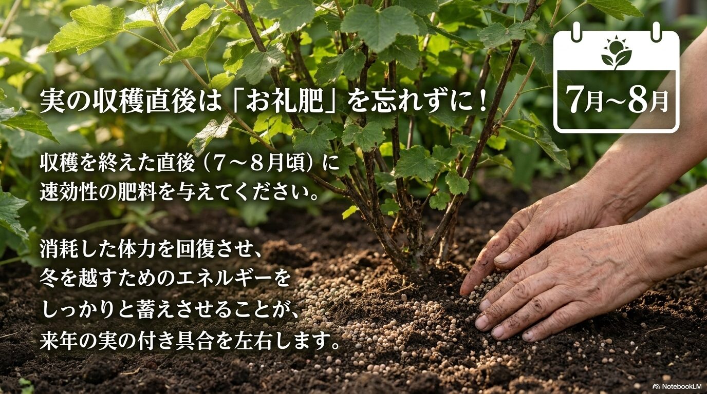 7月から8月の収穫直後に速効性の肥料を与え、来年のためのエネルギーを蓄えさせる