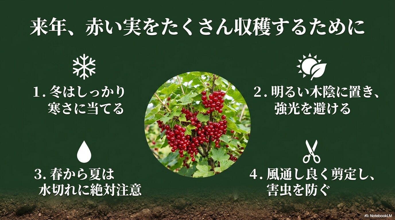 冬の寒さ、明るい木陰、水切れへの注意、風通しを良くする剪定という、来年実を収穫するための4箇条