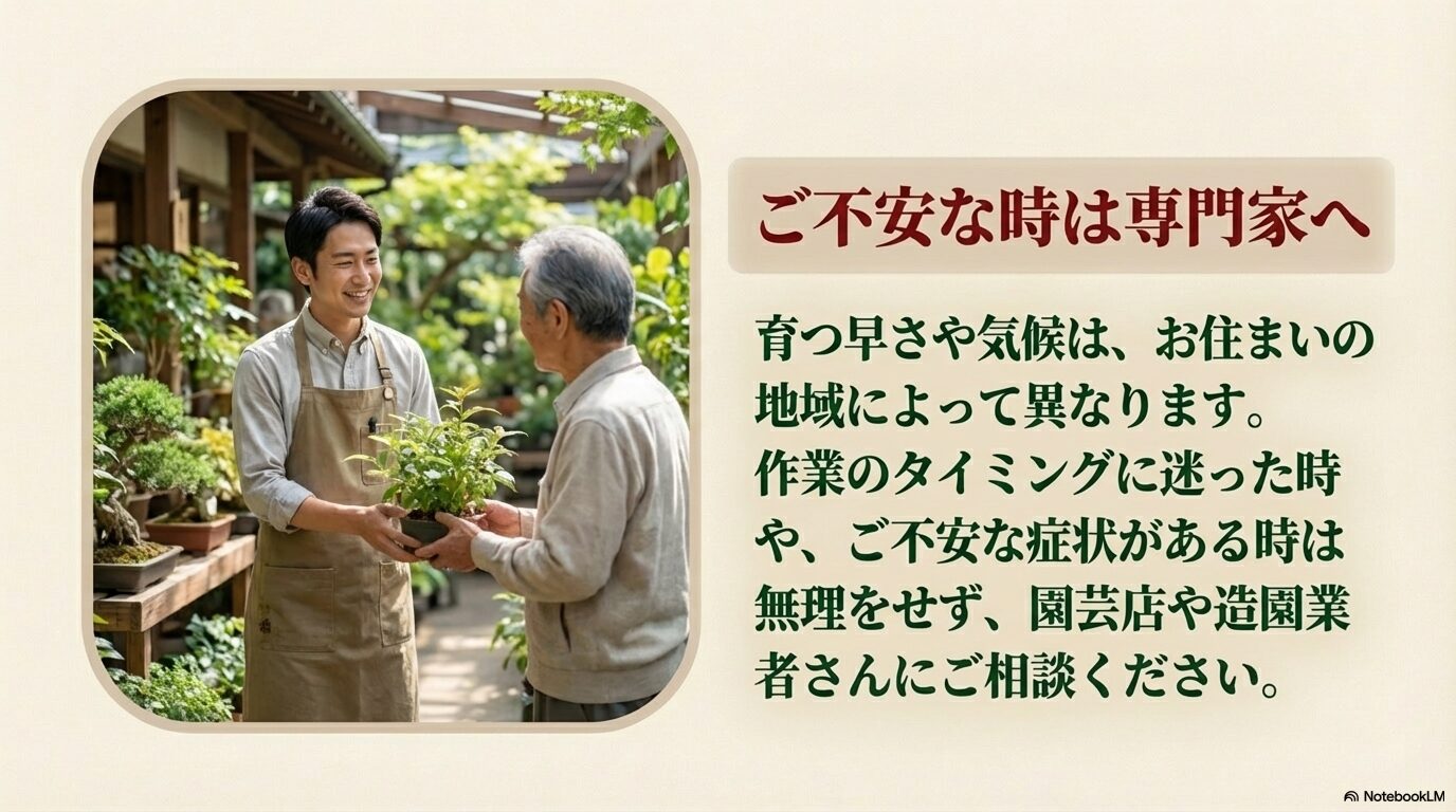 千両の育て方や不安な症状について、笑顔の園芸店スタッフ（専門家）に直接相談している様子