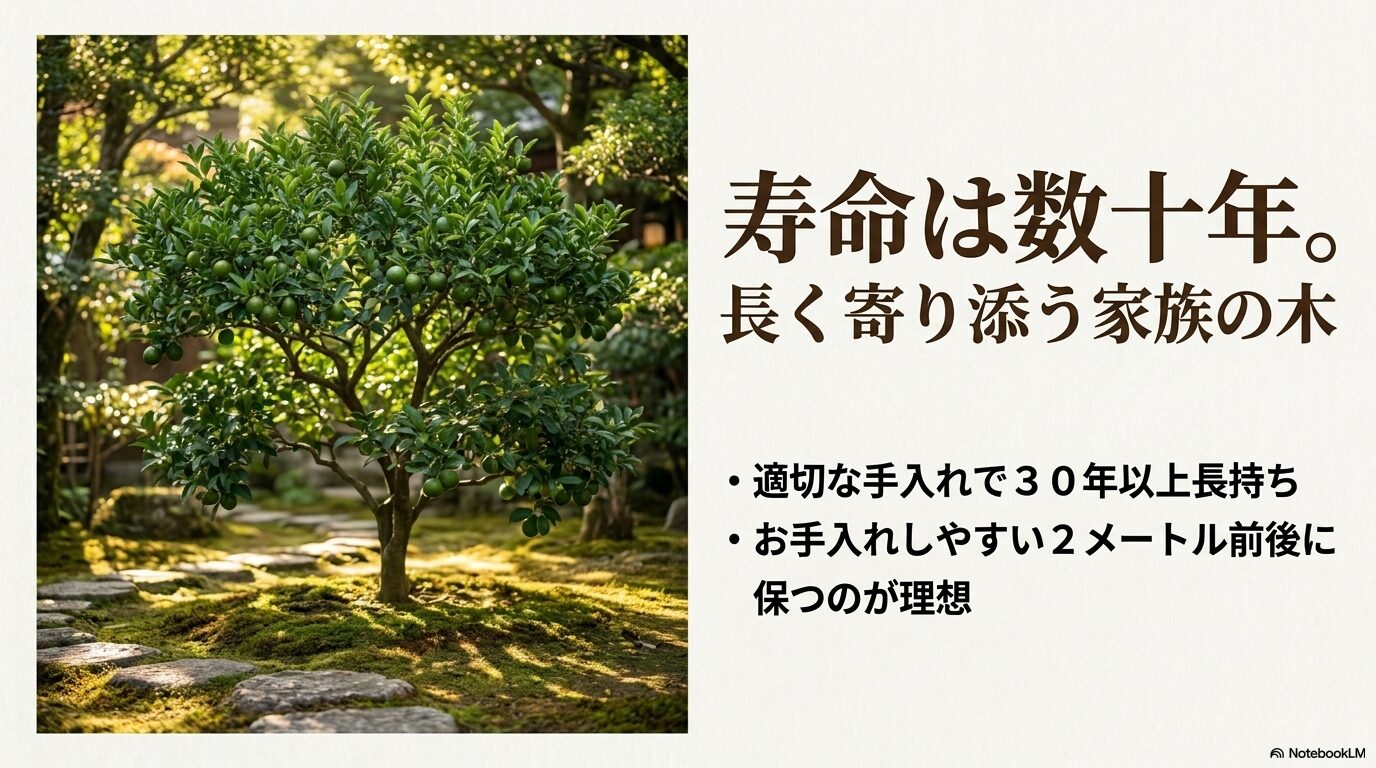 寿命は数十年に及び、お手入れしやすい2メートル前後に保つのが理想的なすだちの木