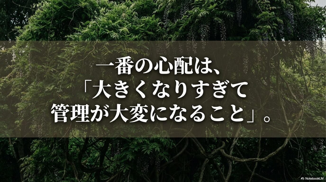 一番の心配である、大きくなりすぎて管理が大変になることへの言及
