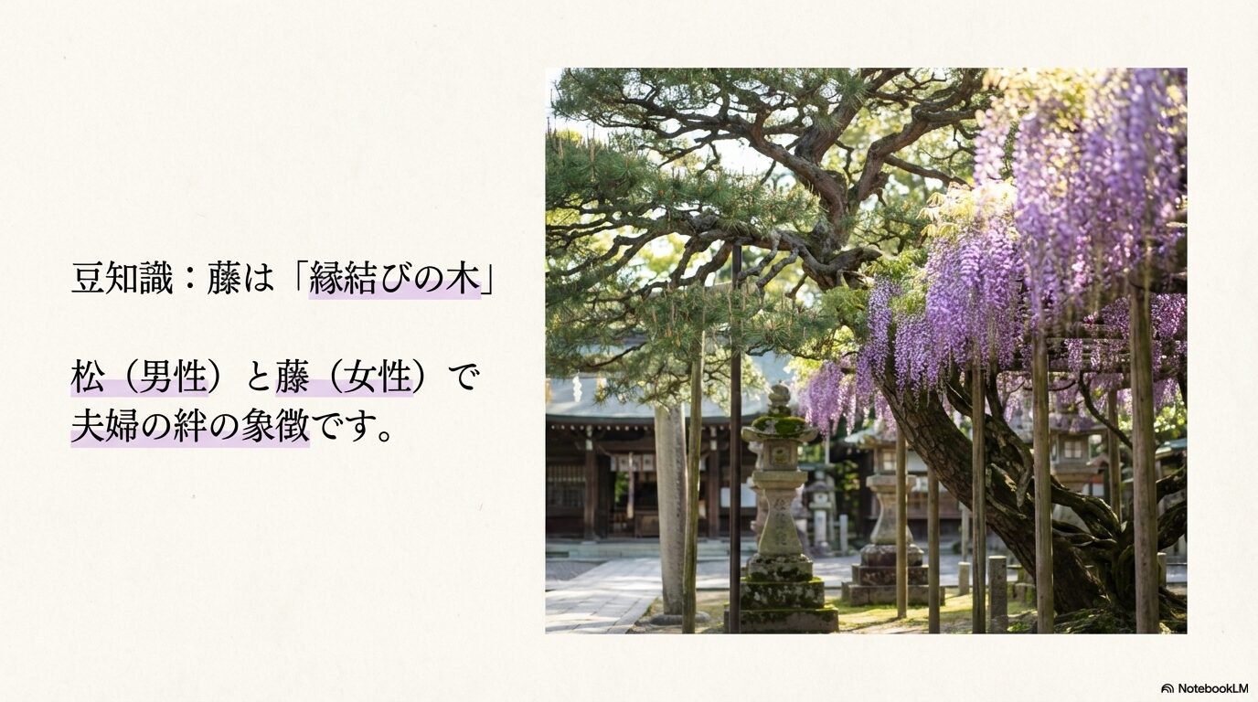 夫婦の絆の象徴として松に寄り添うように咲く美しい藤と神社の景観