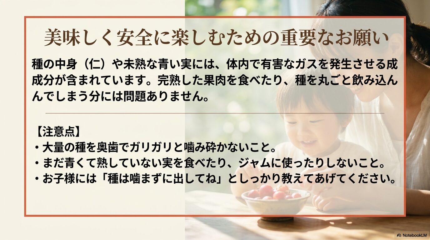 ユスラウメの種や未熟な実による毒性の注意点と安全な食べ方