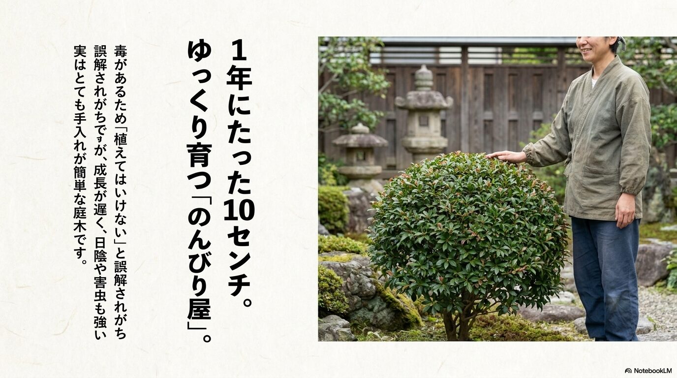 アセビは成長が遅く、日陰にも強いため手入れが簡単であることを説明するスライド。