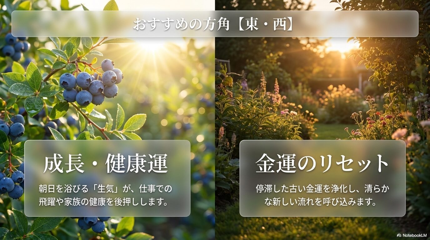 ブルーベリーの風水方角（東・西）：健康運と金運浄化のポイント