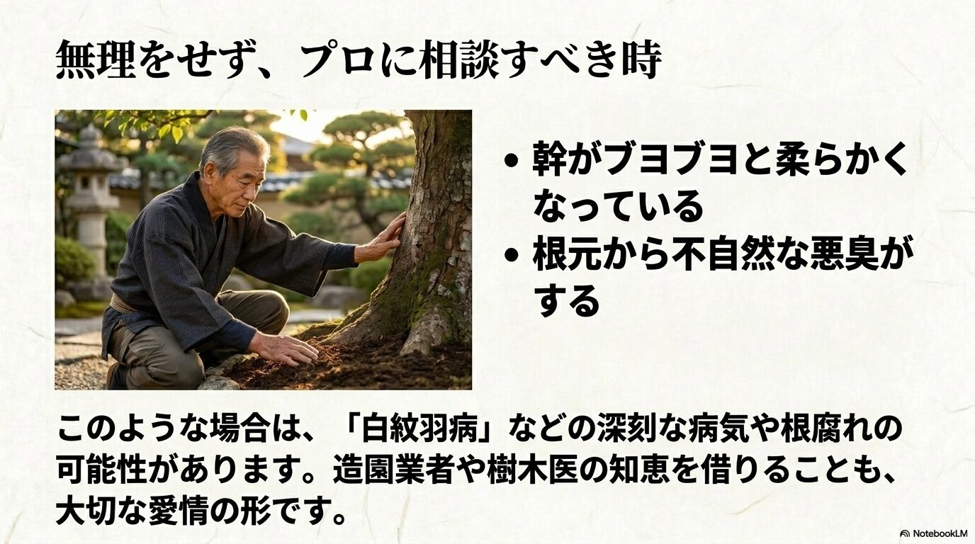 幹の柔らかさや根元の悪臭など、白紋羽病や重度の根腐れが疑われる時にプロに相談すべき基準