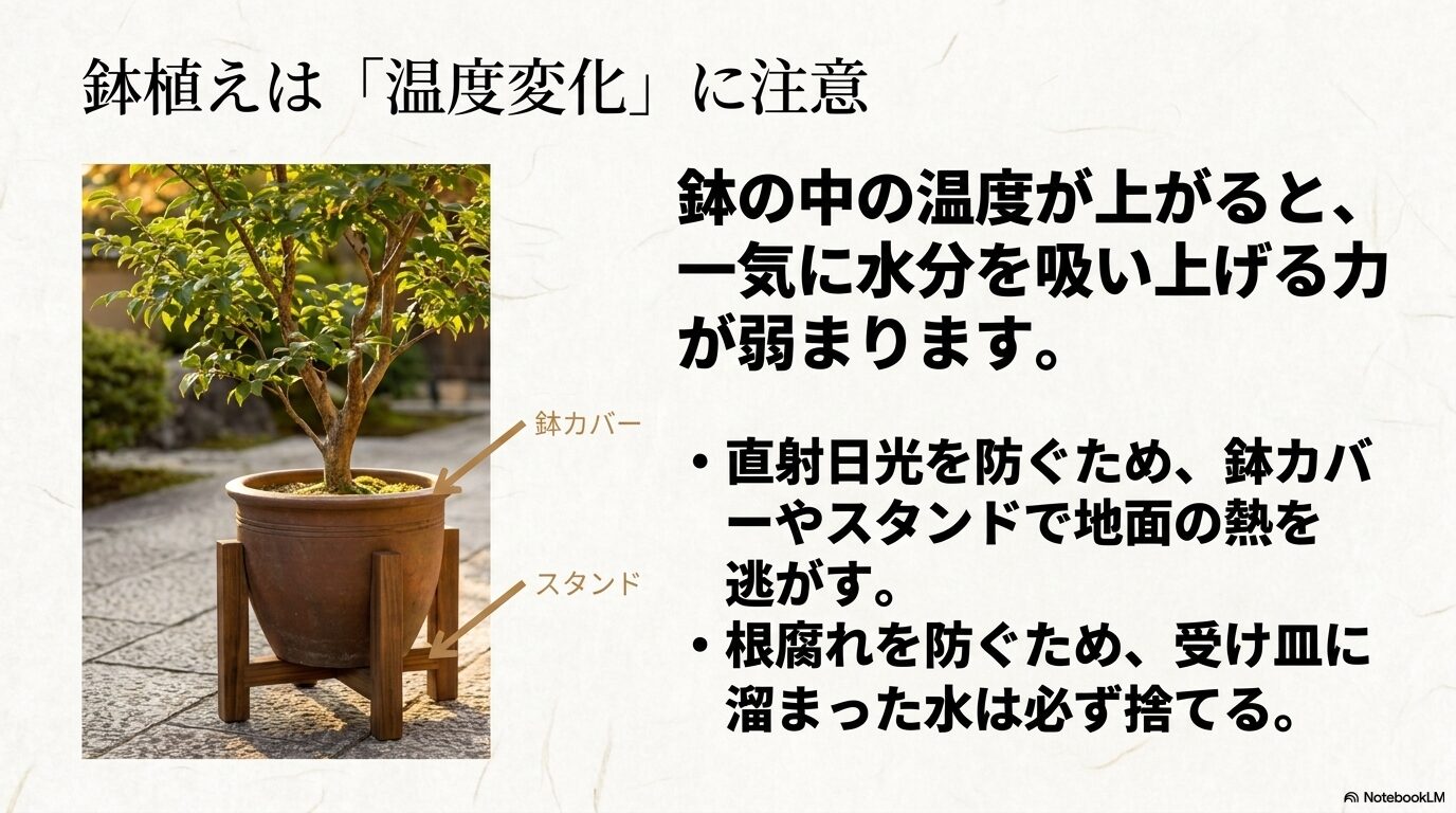 鉢の中の温度上昇を防ぐための鉢カバーやスタンドの使用、根腐れ防止の受け皿管理の解説