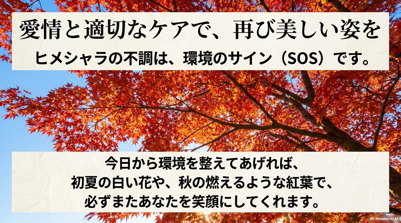 適切な環境整備によって、再び美しい姿を見せてくれるヒメシャラからのポジティブなメッセージ
