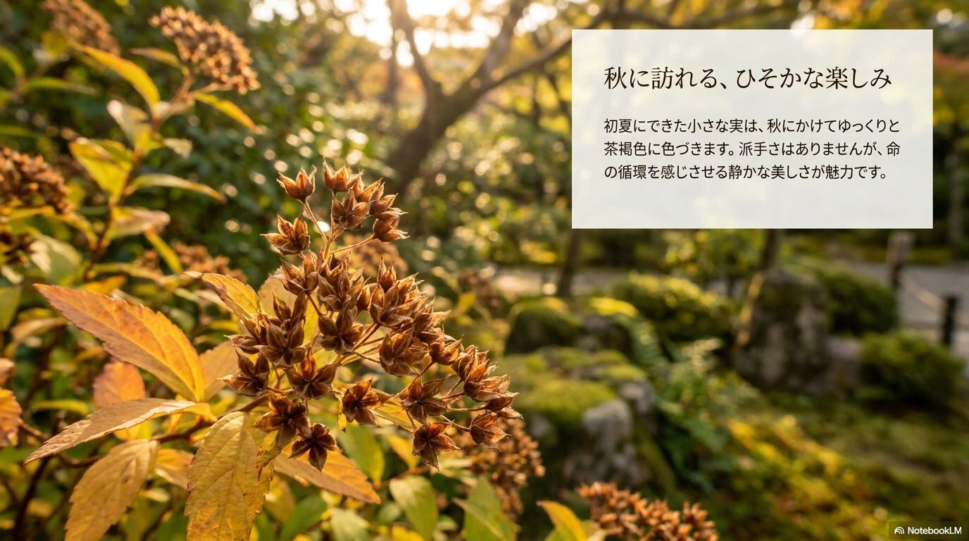 初夏にできた小さな実が秋に向けてゆっくりと茶褐色に色づき、命の循環を感じさせる静かな美しさ
