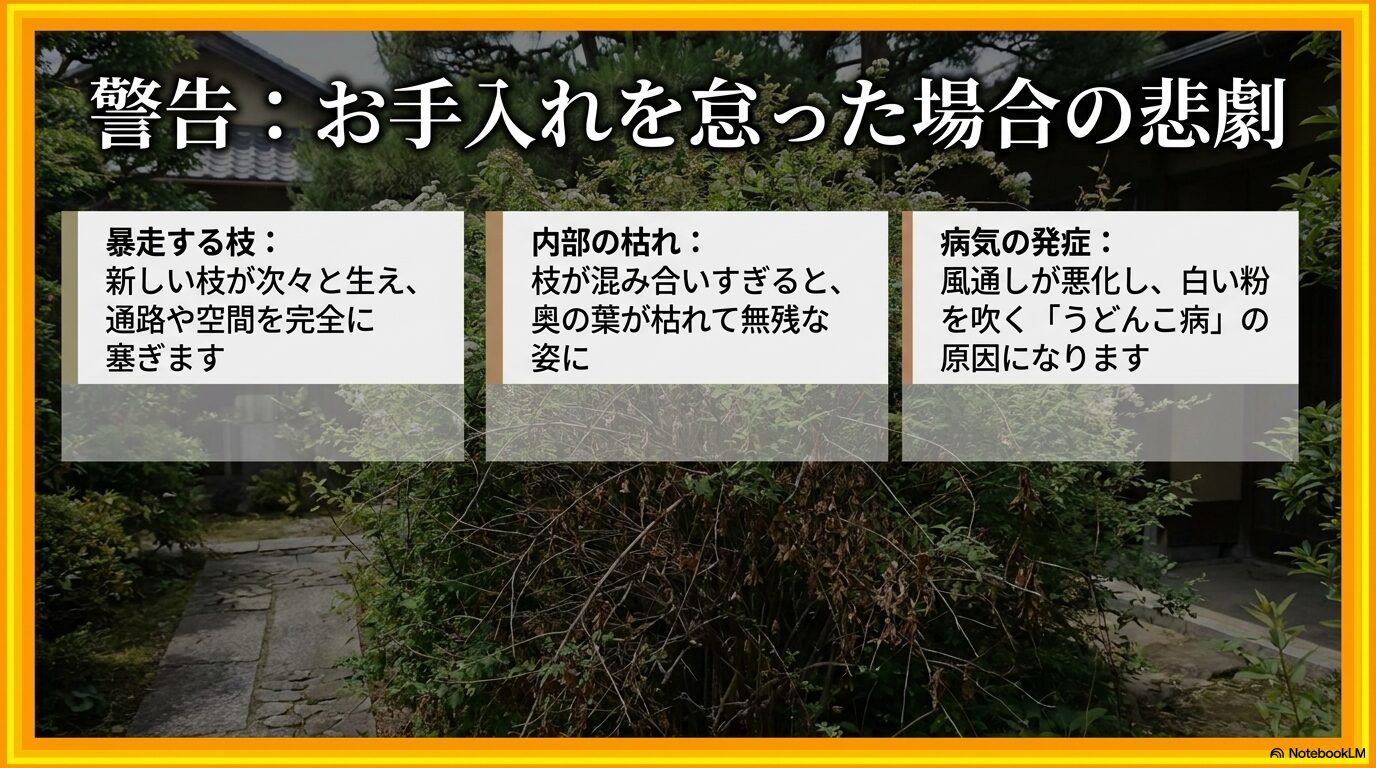 剪定を怠ることで発生する枝の暴走、株内部の枯れ、風通し悪化によるうどんこ病の発症リスクの解説