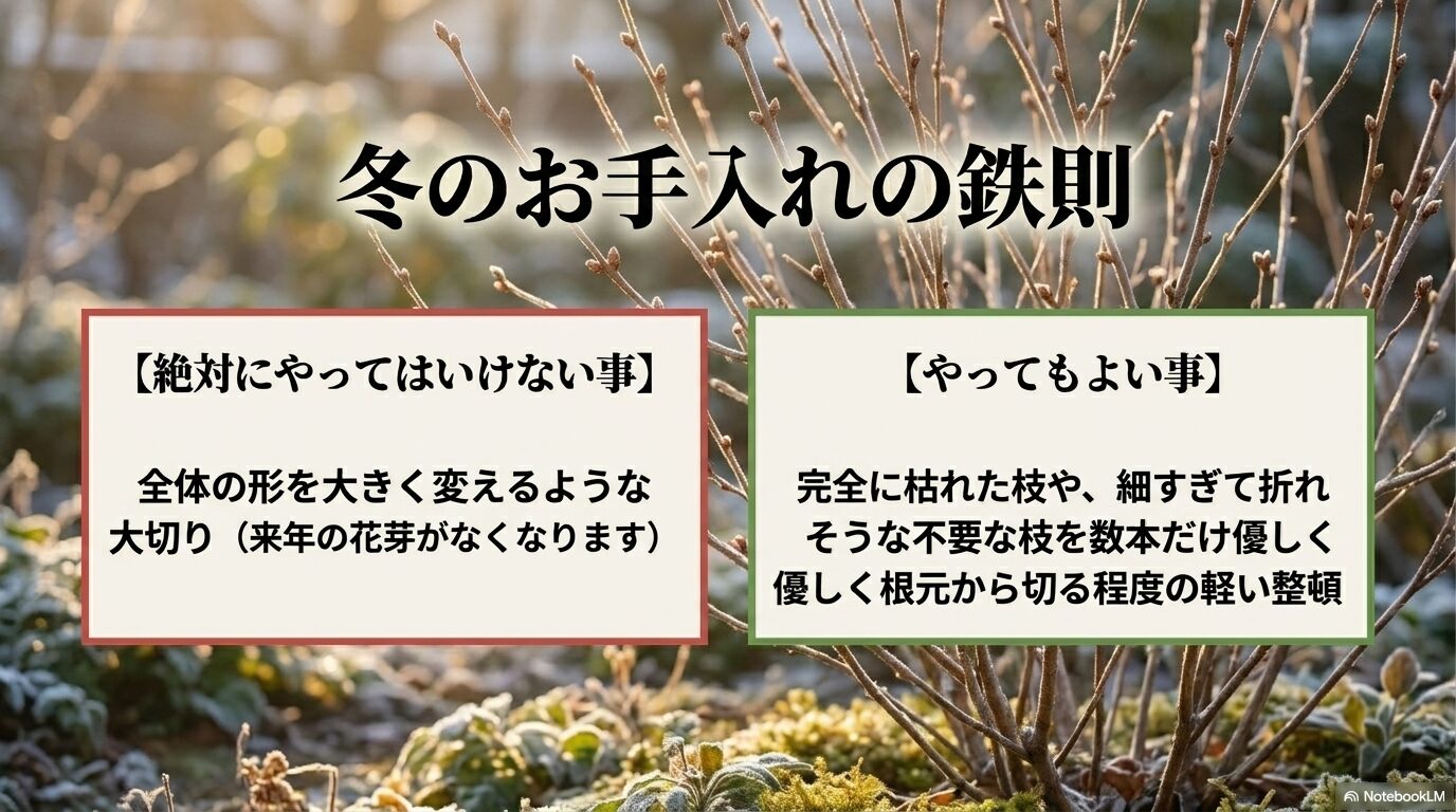 冬の時期に全体の形を大きく変える大切りは厳禁で、枯れ枝の除去など軽い整頓にとどめるルール