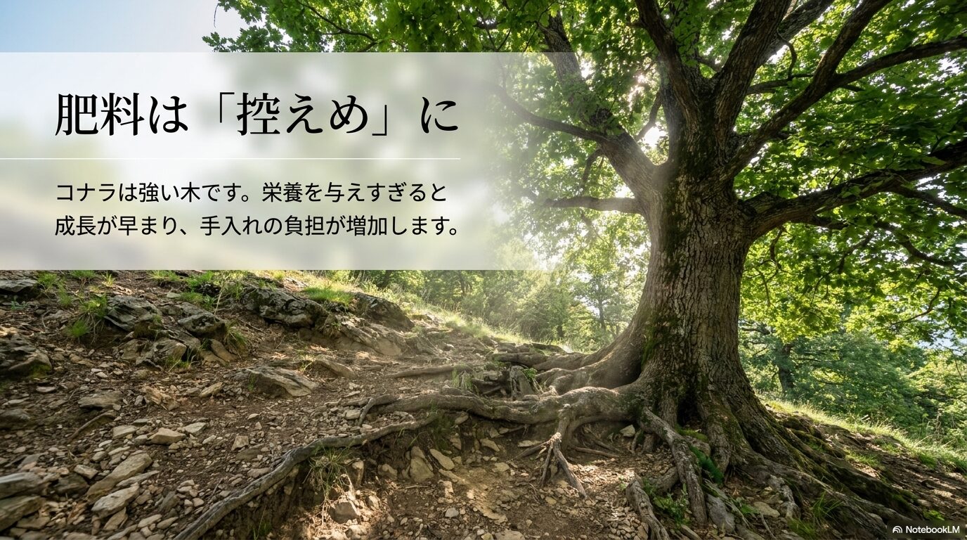栄養を与えすぎると成長が早まり手入れの負担が増えるため、肥料を控えるべき理由を説明する画像