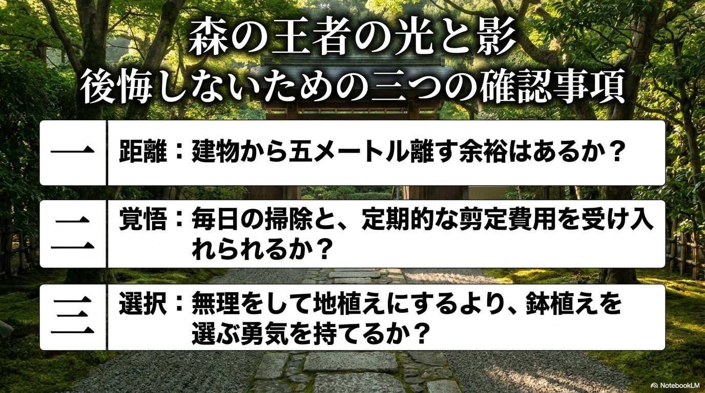 クスノキを植える際の最終確認事項。5mの距離、掃除と費用の覚悟、鉢植えという選択肢の検討。