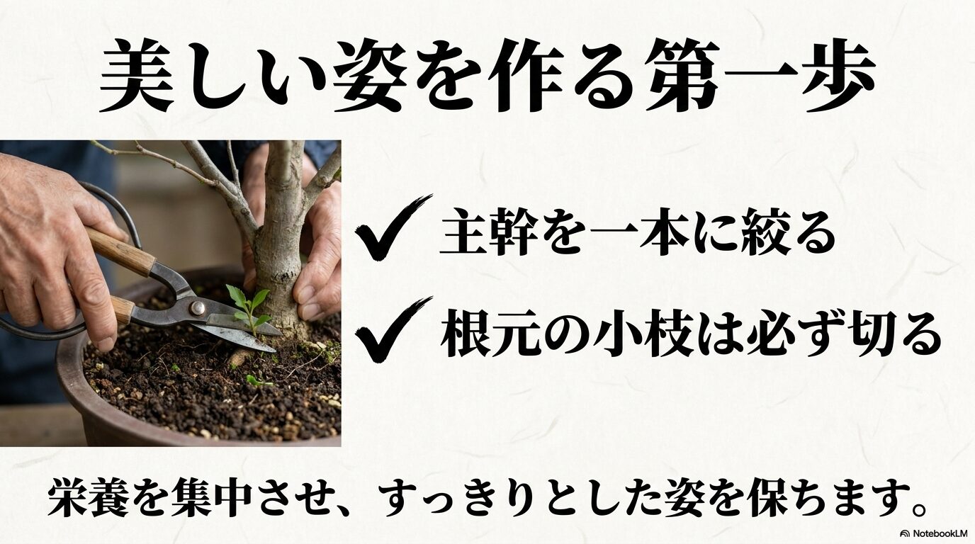 主幹を一本に絞り根元の小枝を切るサンシュユの仕立て方解説
