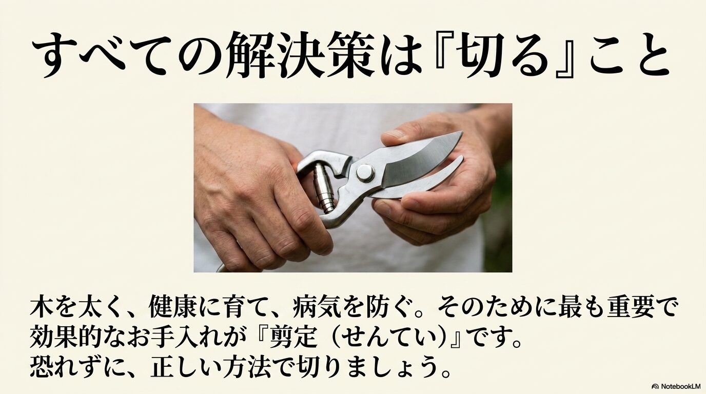 スモークツリーを健康に太く育てるための解決策としての剪定